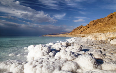 זיסי – הכל אודות ים המלח