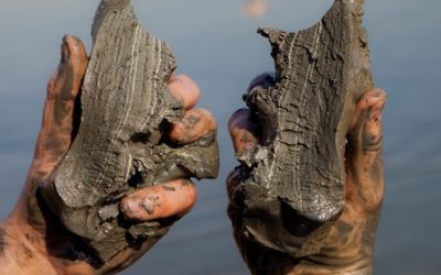 חוף נווה מדבר