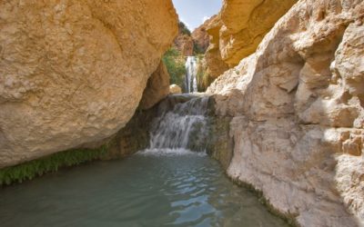 אטרקציות מים בים המלח
