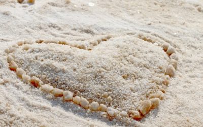 יום כיף בים המלח