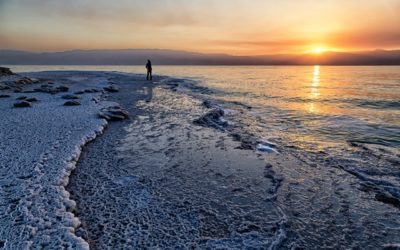 בילוי לילה בים המלח