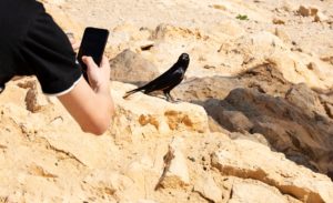 עין בוקק המסלול הארוך